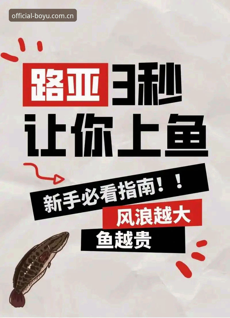 新手必备！博鱼娱乐平台苹果版使用心得与完整指南